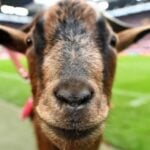 ufabet ?? ??? ? ????????? ????????????????????!