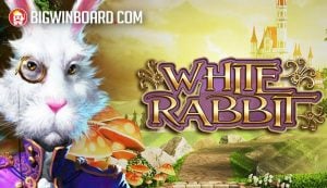 ??????? ???? odd: ??????????????????????????