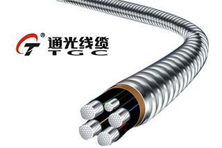 通光線纜2019年?duì)I收14.76億元，光纖光纜業(yè)務(wù)因訂單減少致收入下滑